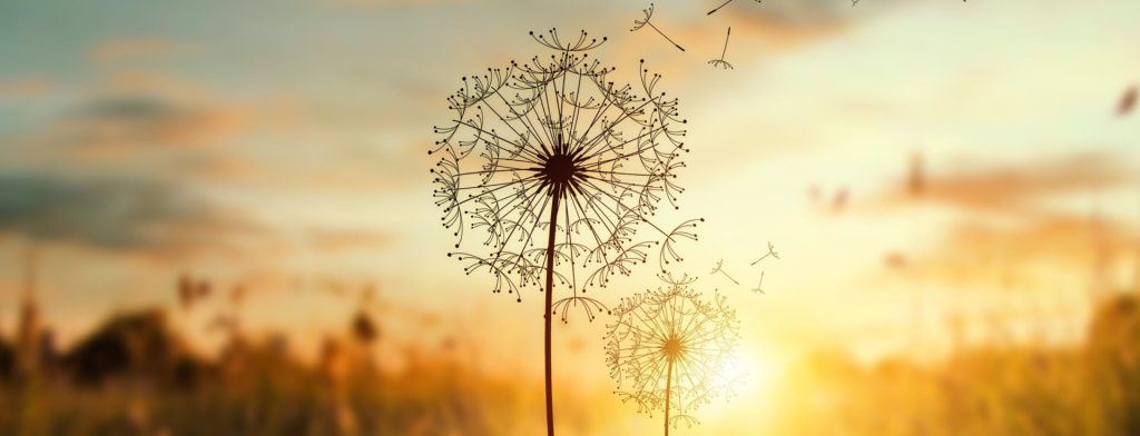 Pusteblume-schmal.jpg
